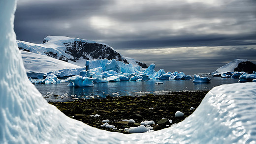 一抹极不真实的白和梦里遥不可及的净——南极&阿根廷17日游（二）-丹可岛,德雷克海峡,火地岛国家公园,马岛战争纪念碑,乌斯怀亚