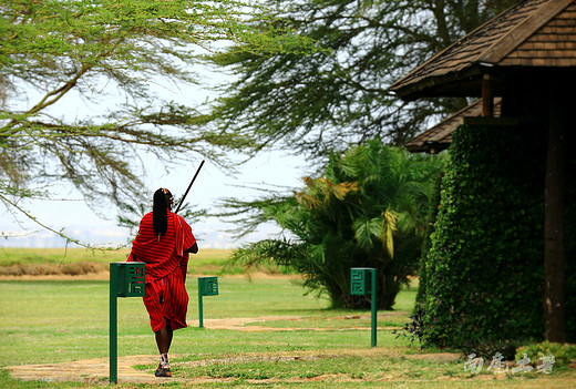 原来肯尼亚也有这么高颜值的度假酒店-纳瓦沙湖,凯伦故居,内罗毕,乞力马扎罗山,马赛马拉国家公园
