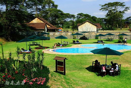 原来肯尼亚也有这么高颜值的度假酒店-纳瓦沙湖,凯伦故居,内罗毕,乞力马扎罗山,马赛马拉国家公园