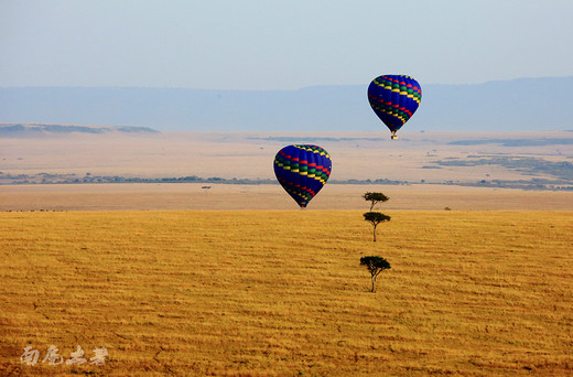 乘热气球，用上帝的视角看动物大迁徙-马赛马拉国家公园,东非大草原,肯尼亚