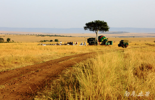 乘热气球，用上帝的视角看动物大迁徙-马赛马拉国家公园,东非大草原,肯尼亚
