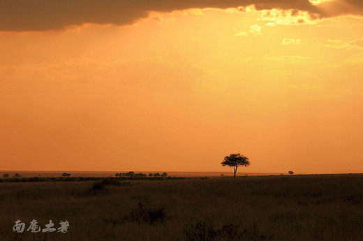非洲草原看完动物，一定不要错过黄昏-肯尼亚