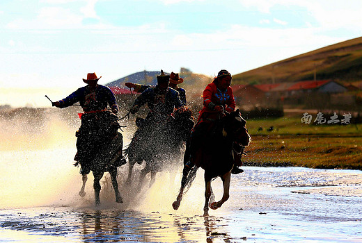 黄金坝上，天凉好个秋-乌兰布统,内蒙古
