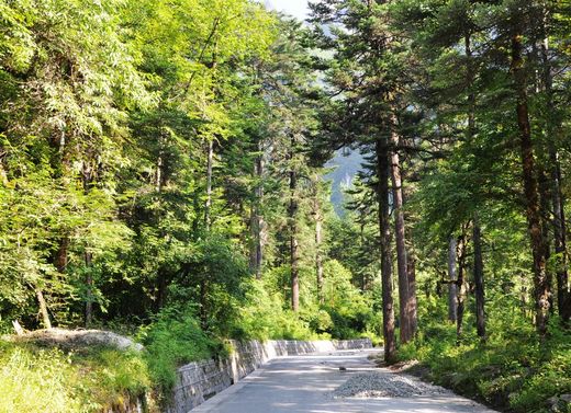 一路向西—川西-新都桥,跑马山,木格措,海螺沟,泸定桥