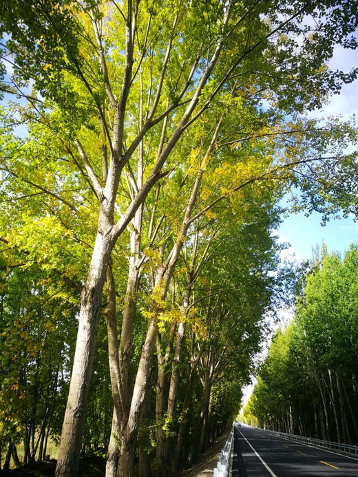 10月8号错峰出发，别人堵车路上的时候你