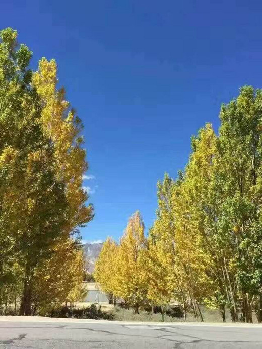 10月8号错峰出发，别人堵车路上的时候你