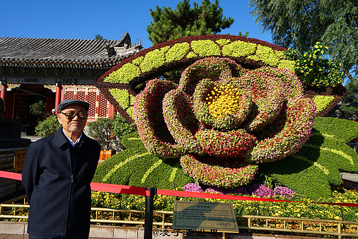 十一黄金周颐和园桂花飘香正当时-北京