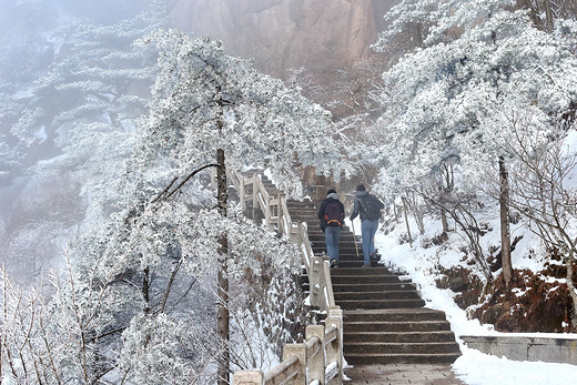 爱在黄山 大美天下