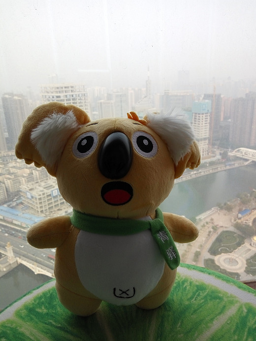 昨天就带着考拉公仔到天津来旅游啦！它站在28层得楼子能看到北安桥的全貌，楼子就是意式风情街，走起……