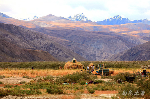 西藏有粮仓，秋收这样忙-卡若拉冰川,珠穆朗玛峰,扎什伦布寺,日喀则
