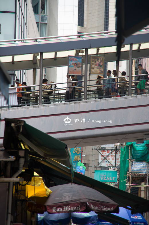 繁华深处，浪漫的旧时光——香港自由行-杜莎夫人蜡像馆-香港,太平山,星光大道,维多利亚港,庙街