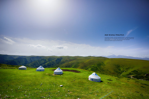 非凡之旅—我的星路历程（下）-塔里木胡杨林,嘉峪关,喀什,塔克拉玛干沙漠,达坂城