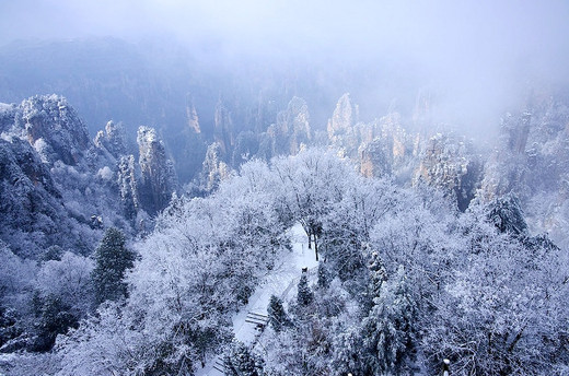 下雪后的中国，美哭了全世界-扬州,西安,苏州,西藏,北京
