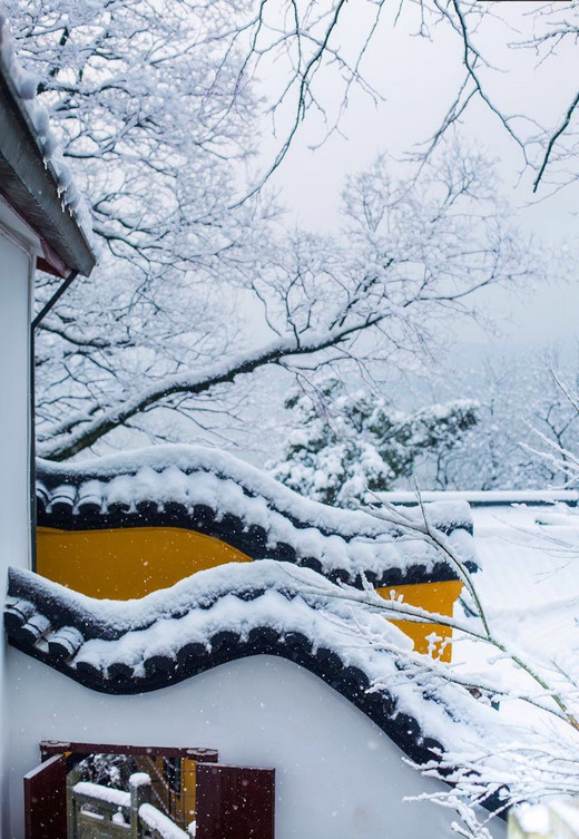 下雪后的中国，美哭了全世界-扬州,西安,苏州,西藏,北京