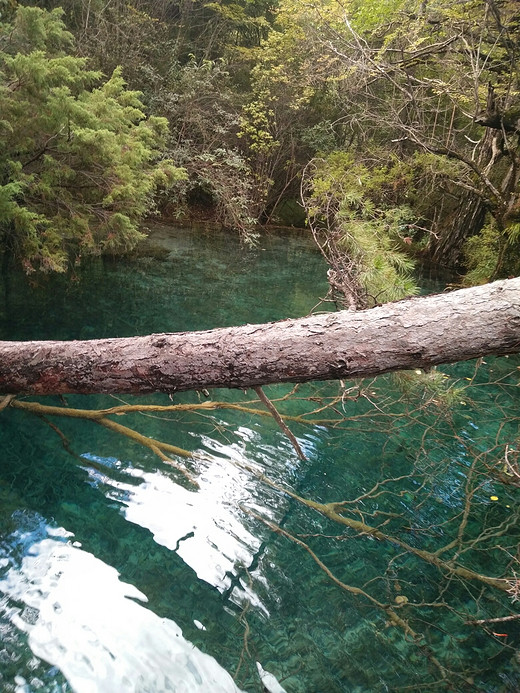 九寨沟