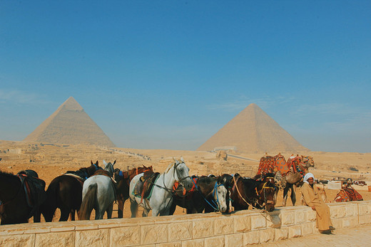 埃及，遍地是故事的地方，沉醉于你的风情万种（上）-埃及国家博物馆,蒙塔扎宫,亚历山大图书馆,解放广场,萨拉丁城堡