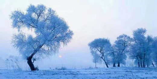 哈尔滨-雪乡之旅-雾凇岛,松花江