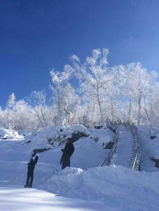 哈尔滨-雪乡之旅-雾凇岛,松花江