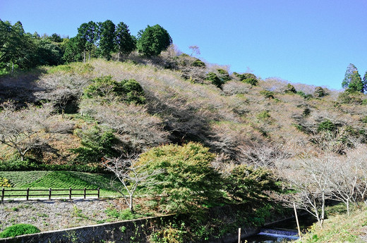 走进日本爱知，邂逅一座名古屋城(三）-热田神宫,名古屋电视塔,爱知县