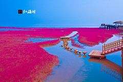 辽宁盘锦的红海滩，几月份去比较合适？周边还有推荐的吗？