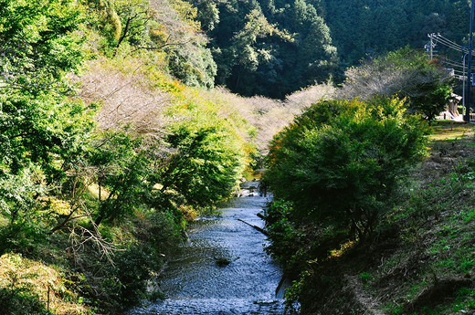 走进日本爱知，邂逅一座名古屋城(三）-热田神宫,名古屋电视塔,爱知县