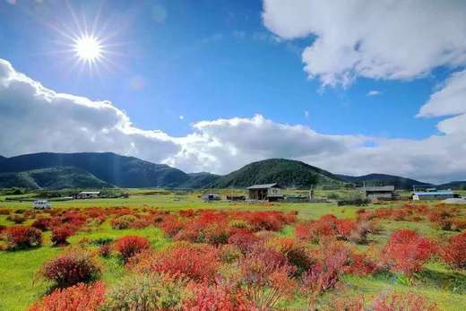 丽江旅游（自由行/跟团游）：香格里拉