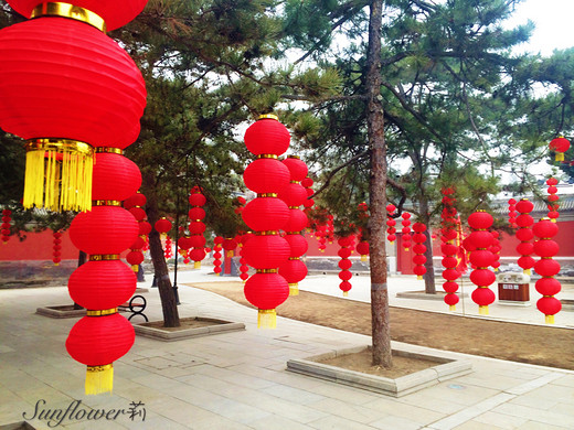 让心灵去旅行——北京行（中）-北海公园,南锣鼓巷,故宫