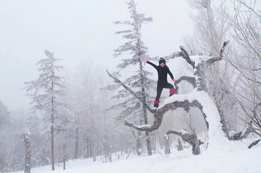 哈尔滨、雪乡之旅