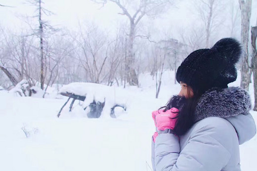 哈尔滨、雪乡之旅