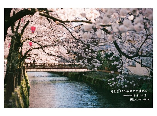 おはよう！霓虹国的美好、樱の夙愿（第五篇）-千鸟渊,富士山,新宿,东京,京都