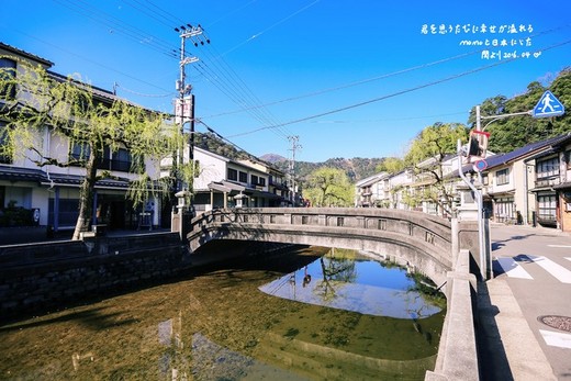 おはよう！霓虹国的美好、樱の夙愿（第五篇）-千鸟渊,富士山,新宿,东京,京都