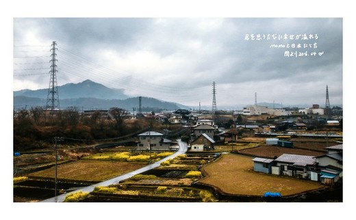 おはよう！霓虹国的美好、樱の夙愿（第五篇）-千鸟渊,富士山,新宿,东京,京都