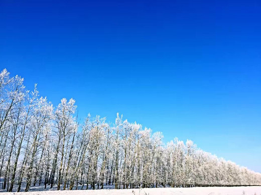 2016.12月初呼伦贝尔+漠河找北之旅-呼和浩特,南宁,内蒙古