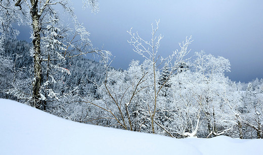 东北四人八天自由行-雪乡,长白山,雾凇岛