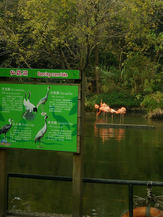 广州动物园游