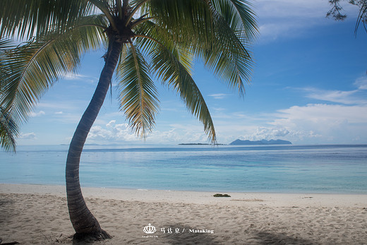 马达京：坐拥一座岛，独享那片海-仙本那,军舰岛-沙巴,卡帕莱岛,诗巴丹岛,敦沙卡兰海洋公园