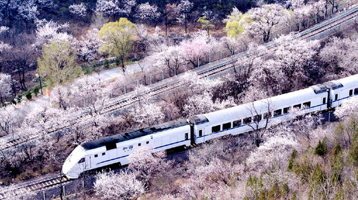 这趟票价仅6元的火车，穿越国内整个春天-北京