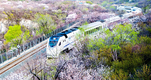 这趟票价仅6元的火车，穿越国内整个春天-北京