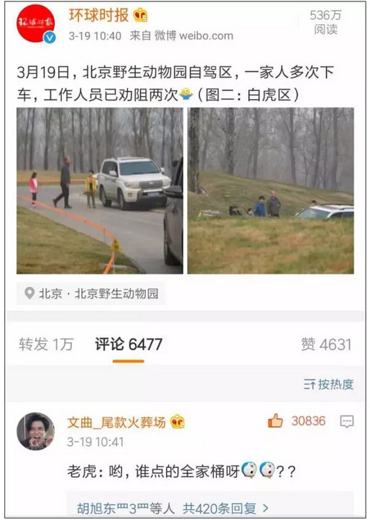 游客又作死？白虎区擅自下车！-北京