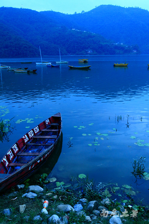 喜马拉雅山南麓有一个懒得不想离开的湖泊-博卡拉,费瓦湖,尼泊尔