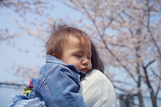 萌宝的花见会：不必远赴日本，同济大学的樱花也美翻天-上海