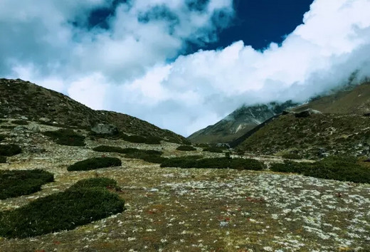 你是我的远方，我触手可及的光年丨尼泊尔NO.3-大山包