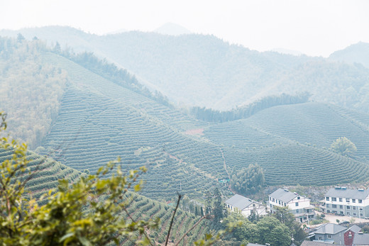 径山美，禅茶香-杭州,浙江