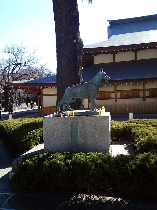 霓虹的明与暗——初次独行日本24天纪行之靖国神社浅观-东京