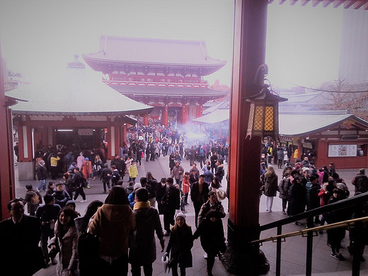 霓虹的明与暗——初次独行日本24天纪行之筑地本院寺、浅草寺-筑地市场