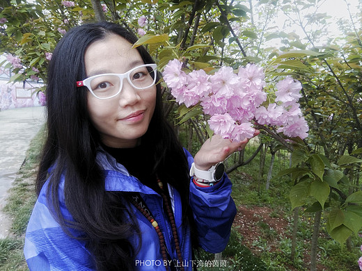 触手可及的十里樱花，“花田广兴”浪漫樱花园