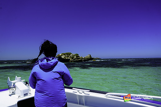 【西澳大利亚】四千公里的南回归线 【五】-大堡礁,墨尔本,珀斯,企鹅岛-澳大利亚