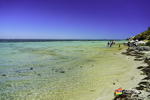 【西澳大利亚】四千公里的南回归线 【五】-大堡礁,墨尔本,珀斯,企鹅岛-澳大利亚
