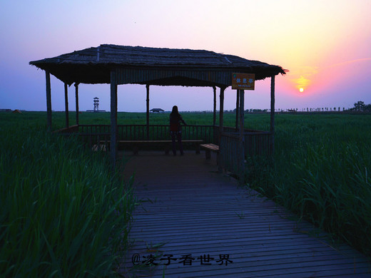 徜徉曹妃甸湿地迷宫，体验别样休闲一日游-曹妃甸湿地公园,唐山