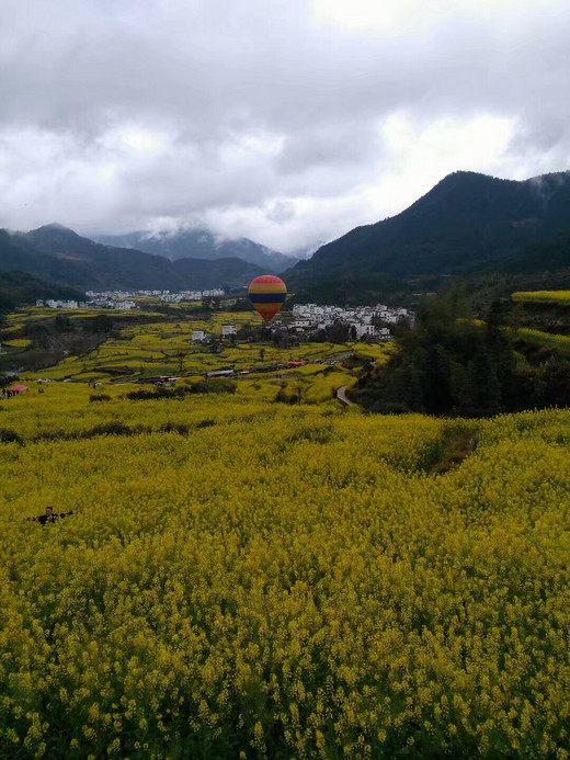 草长莺飞二月天